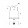 Замок навесной TRODOS ВС-SP-40 всепогодный (214615)